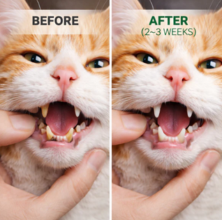 Pet Dental Cleaning Powder
