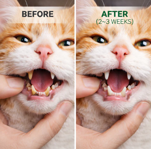 Pet Dental Cleaning Powder