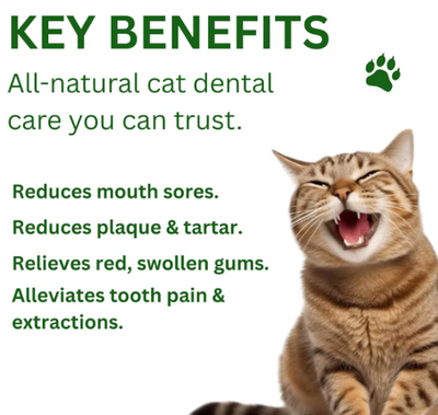 Pet Dental Cleaning Powder