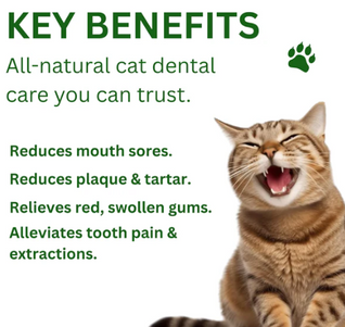 Pet Dental Cleaning Powder