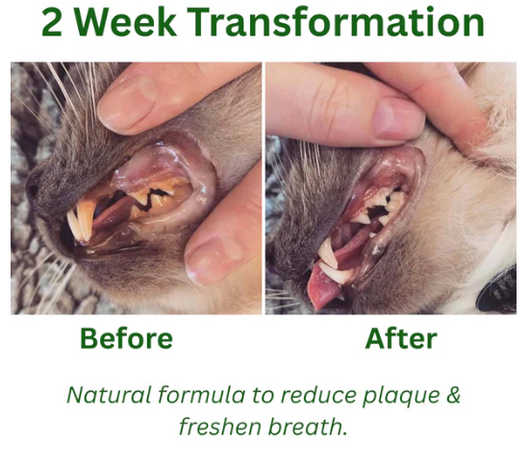 Pet Dental Cleaning Powder