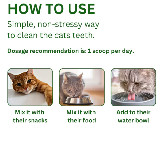 Pet Dental Cleaning Powder